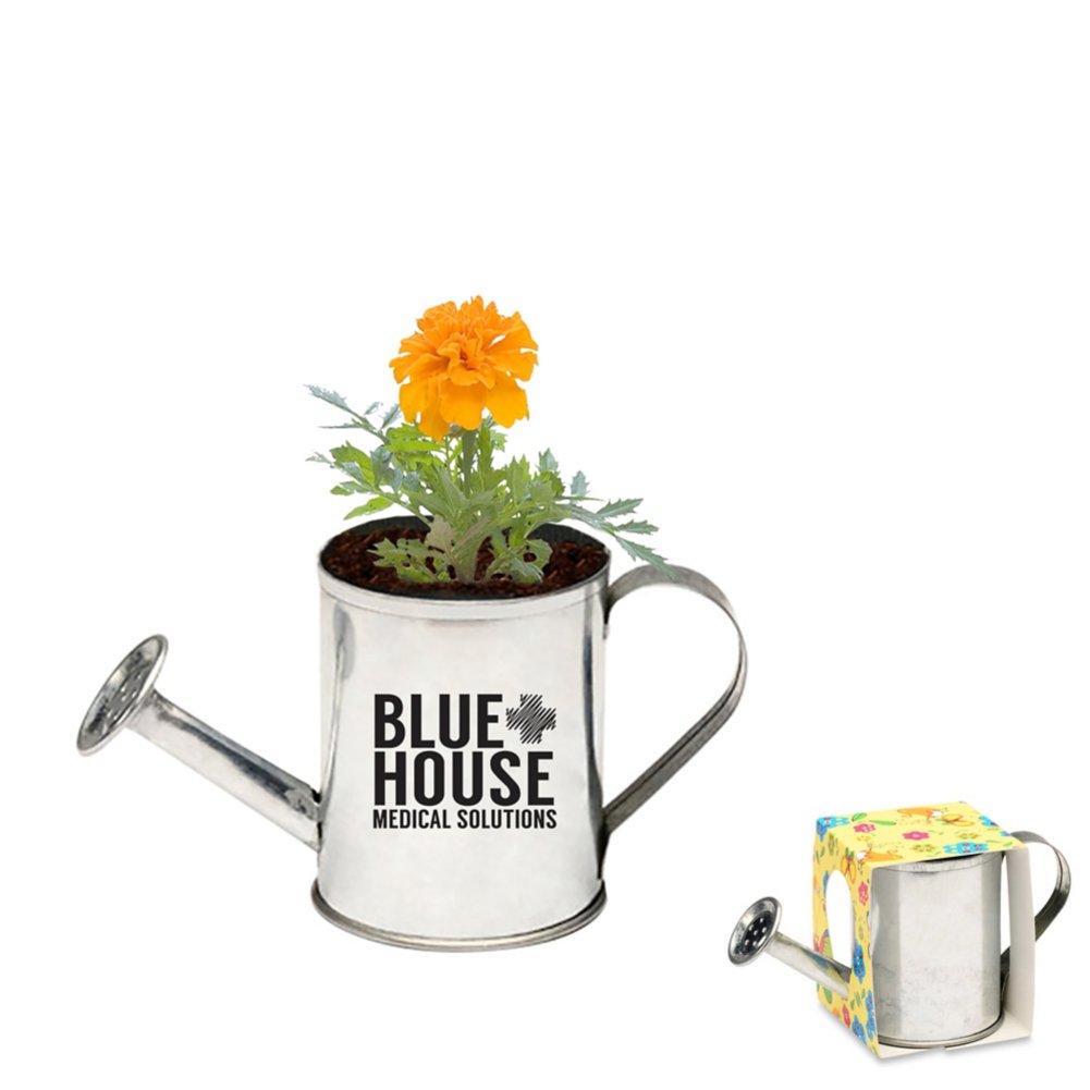 View larger image of Add Your Logo: Watering Can Planter