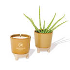 View larger image of Add Your Logo: Modern Sprout Candle and Planter Gift Set