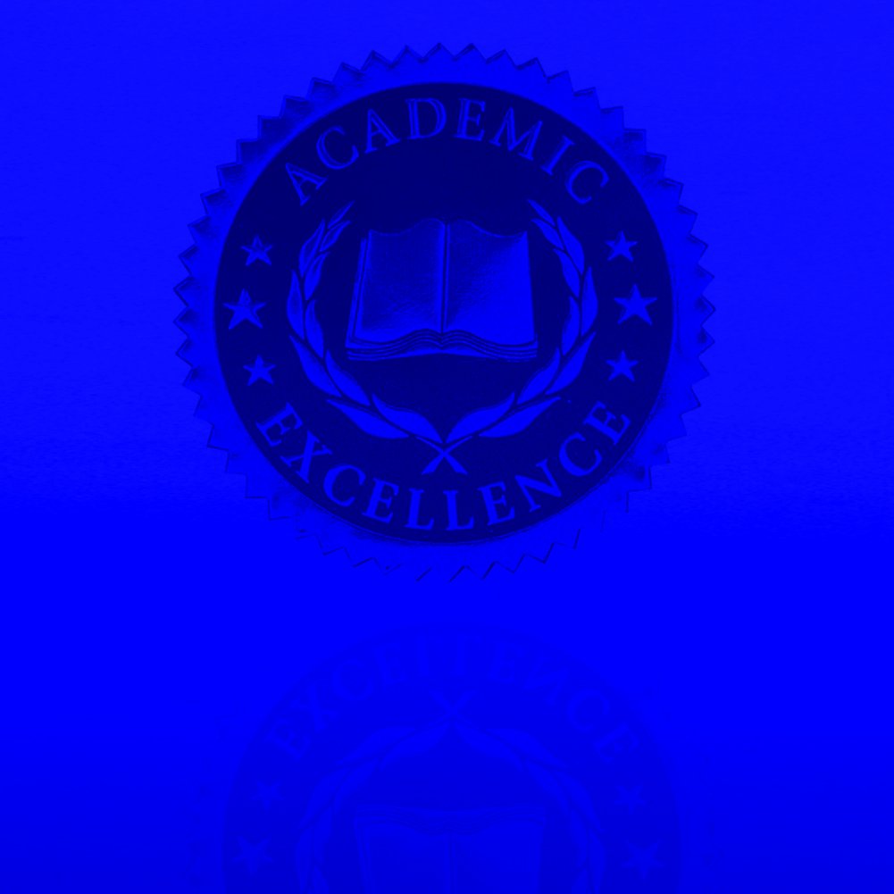 Certificate Seal Academic Excellence Blue/Gold Baudville