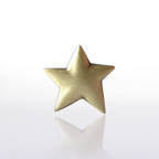 View larger image of Lapel Pin - Gold Star