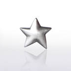 View larger image of Lapel Pin - Silver Star
