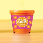 View larger image of Color Pop Planter - You are Gold Solid Gold