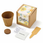 View larger image of Growable Praise Plant Kit - Rootin For You