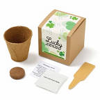 View larger image of Growable Praise Plant Kit - Lucky To Have You