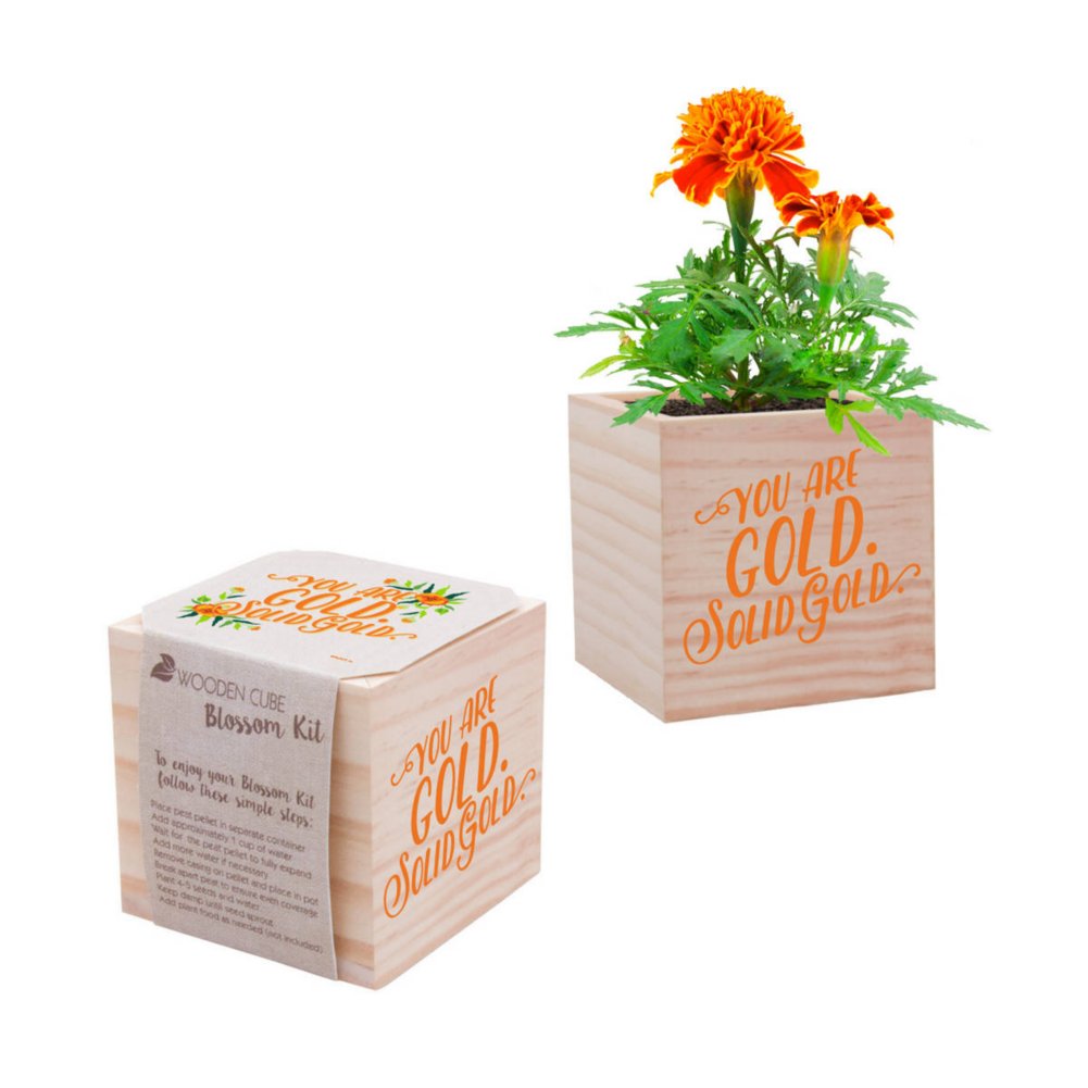 Sweet Blooms Appreciation Plant Kits - You are Gold