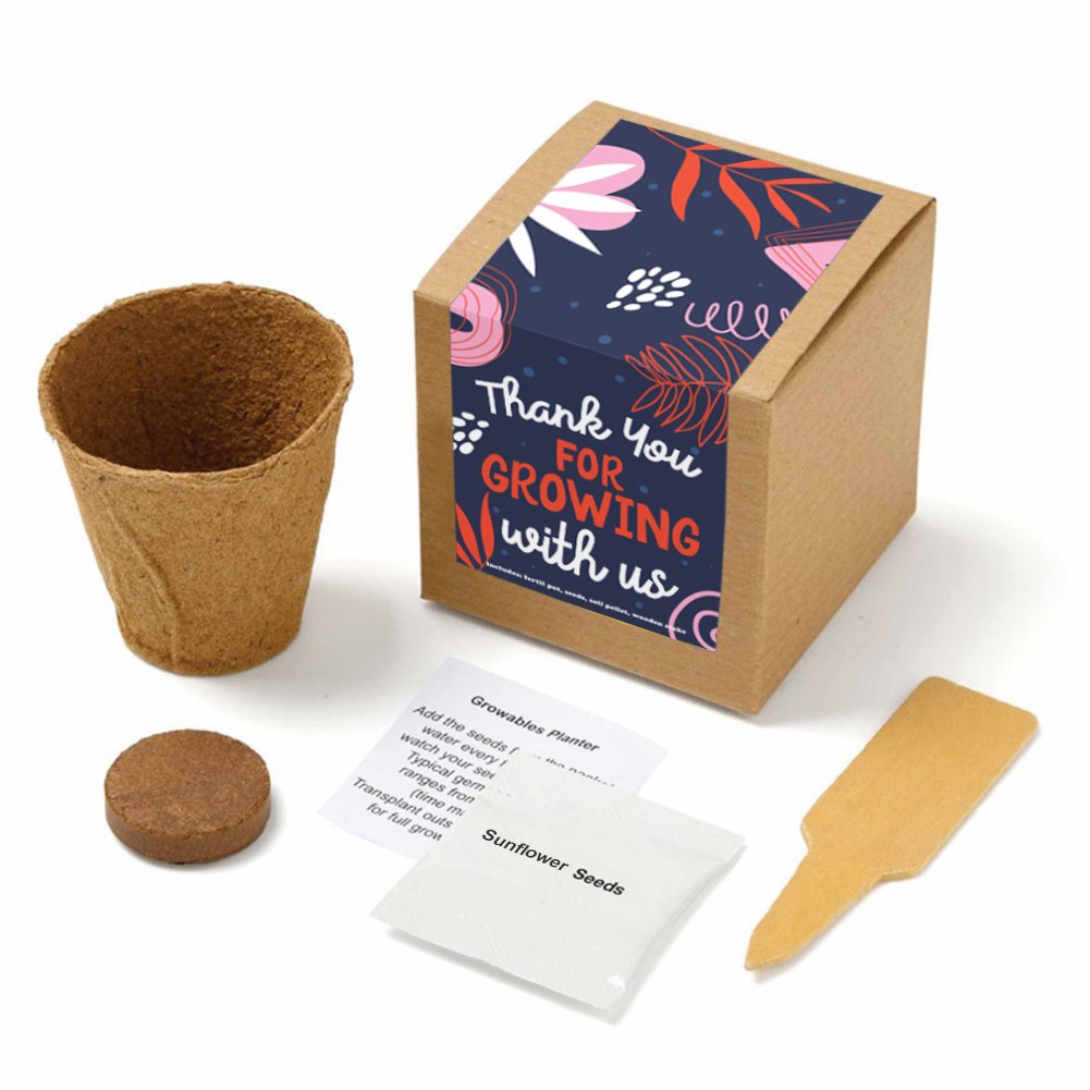 Growable Praise Plant Kit - Growing With Us
