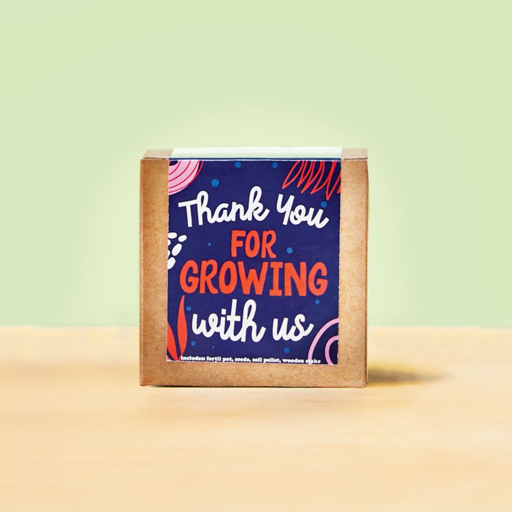 Growable Praise Plant Kit - Growing With Us