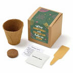 View larger image of Growable Praise Plant Kit - Commitment and Dedication