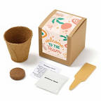 View larger image of Growable Praise Plant Kit - Welcome to the Team