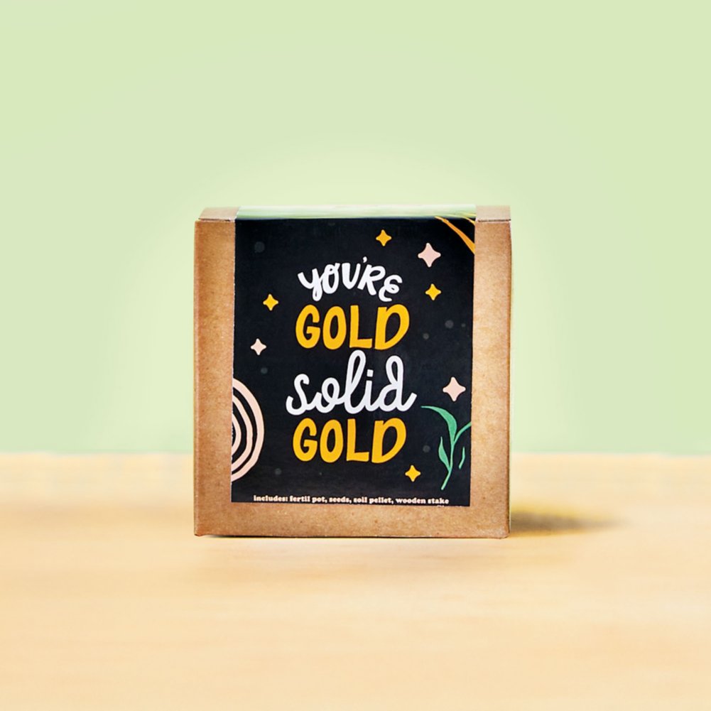 Growable Praise Plant Kit - You're Gold