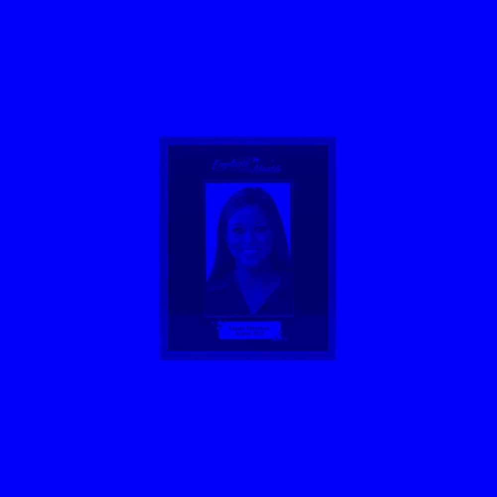 Employee Of The Month Plaque Template Database