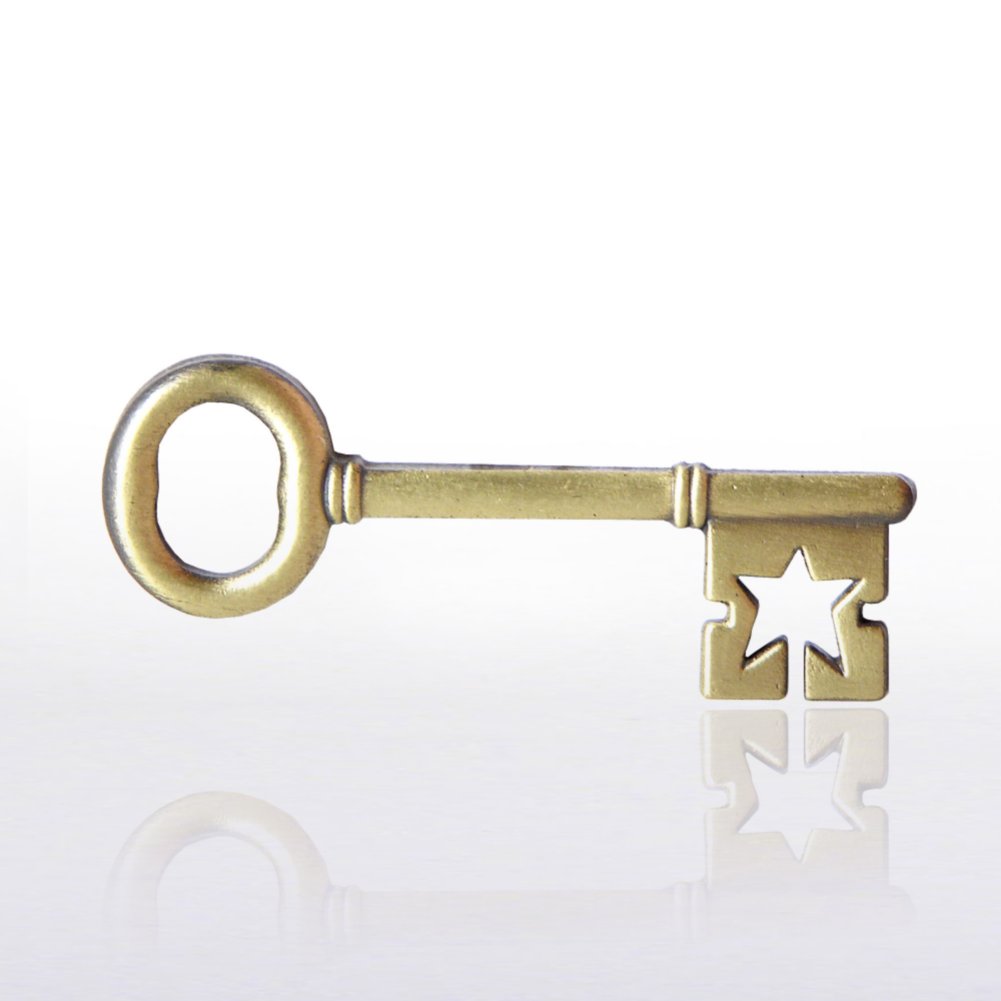 View larger image of Lapel Pin - Key To Success