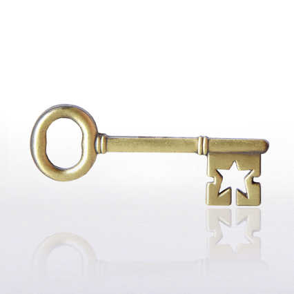 Lapel Pin - Key To Success
