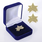 View larger image of Anniversary Lapel Pin - Service Award Star