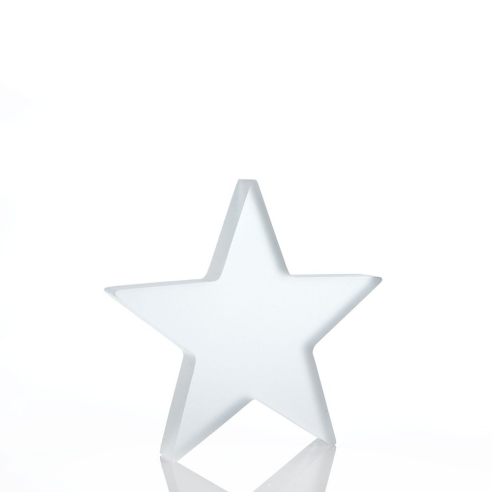 Frosted Acrylic Trophy - Star