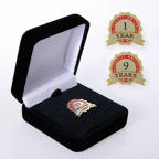 View larger image of Anniversary Lapel Pin - Service Award Ribbon
