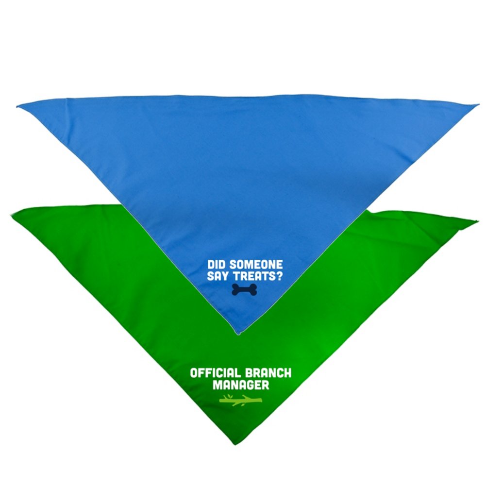 View larger image of Punny Pet Bandanas - 2 Pack Blue and Green