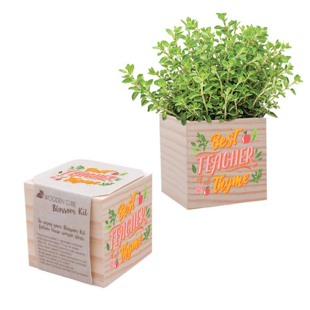 View larger image of Appreciation Plant Cube - Best Teacher Of All Thyme