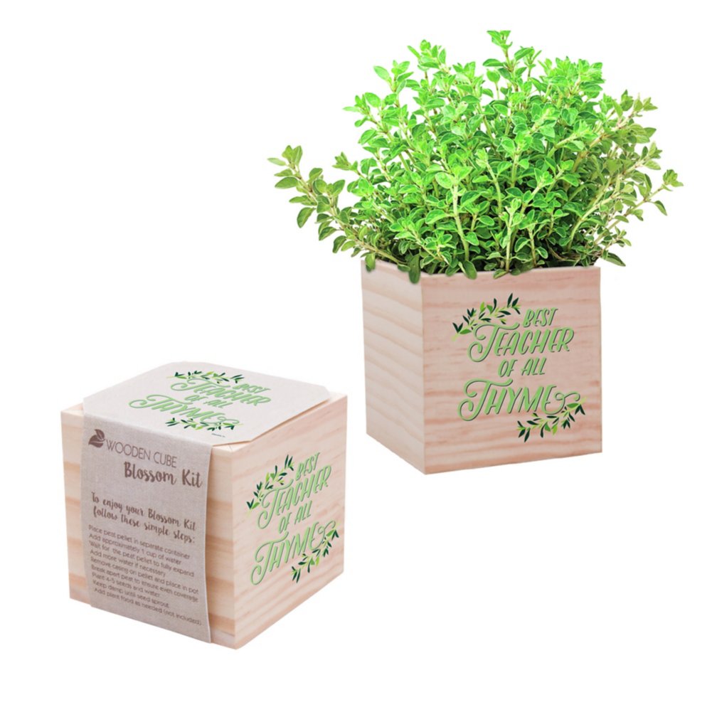 Appreciation Plant Cube - Best Teacher of All Thyme