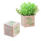 View larger image of Appreciation Plant Cube - Best Teacher of All Thyme