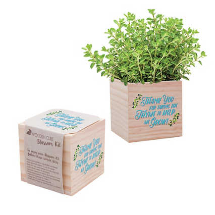 Appreciation Plant Cube - Thank You For Taking the Thyme