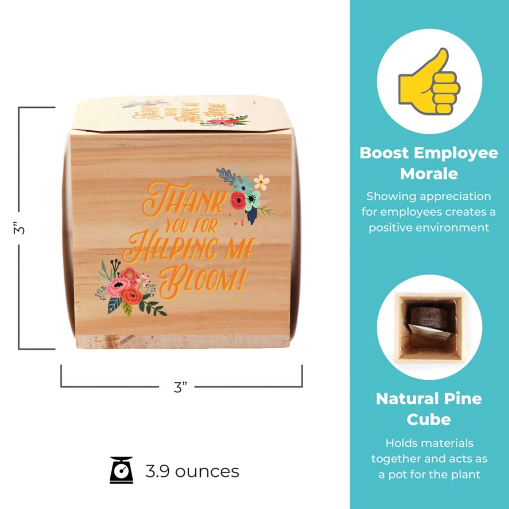 Appreciation Plant Cube - Thank You For Helping Me Bloom