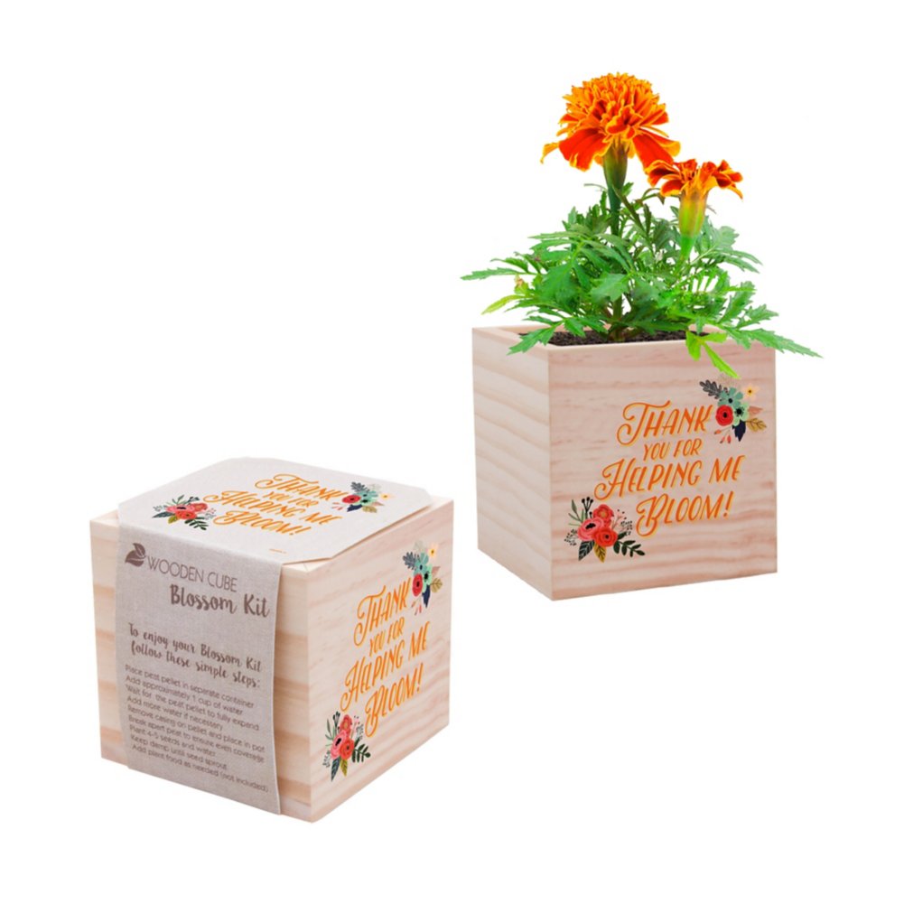 Appreciation Plant Cube - Thank You For Helping Me Bloom