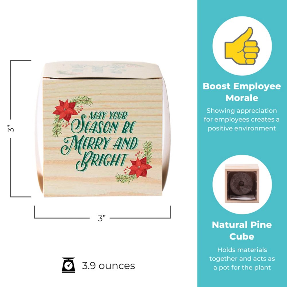 Appreciation Plant Cube - Merry & Bright