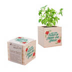 View larger image of Appreciation Plant Cube - Merry & Bright