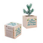 View larger image of Appreciation Plant Cube - You Help us Grow