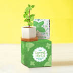 View larger image of Perfect Match Planter & Seed Set - Mint