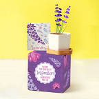 View larger image of Perfect Match Planter & Seed Set - Lavender
