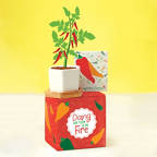 View larger image of Perfect Match Planter & Seed Set - Pepper