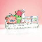 View larger image of Cheers Kit - Plant Praise