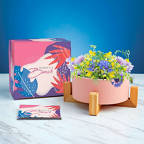 View larger image of Haven Planter + Seed Set - Thanks a Bunch