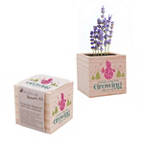 View larger image of Appreciation Plant Cube - Holiday: Growing with Us