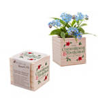 View larger image of Appreciation Plant Cube - Help Us Grow