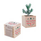 View larger image of Appreciation Plant Cube - You've Made a Tree-mendous Impact