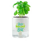 View larger image of Just Right Self-Watering Planter Kit - Basil-cally the Best