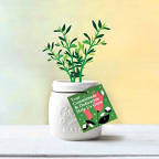 View larger image of Petite Mason Jar Planter - Help Us Grow