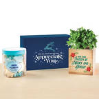 View larger image of Sweet Blooms Appreciation Plant Kit - We Appreciate You