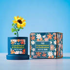 View larger image of Blooming Planter Gift Set - Commitment & Dedication