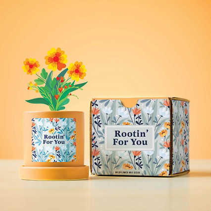 Blooming Planter Gift Set - Rootin'