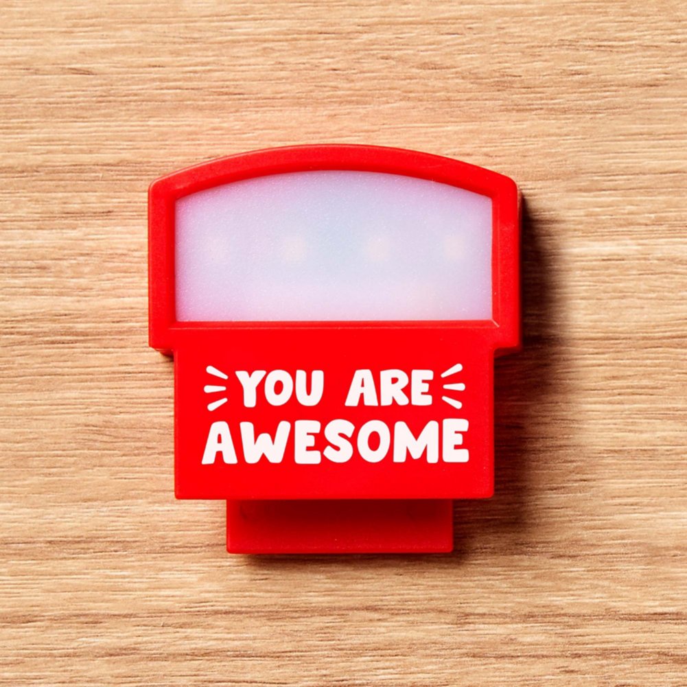 Video Light Web Cam Cover - You Are Awesome