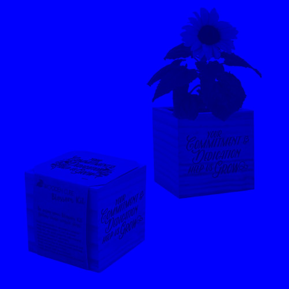 Appreciation Plant Cube Your Commitment Dedication Baudville