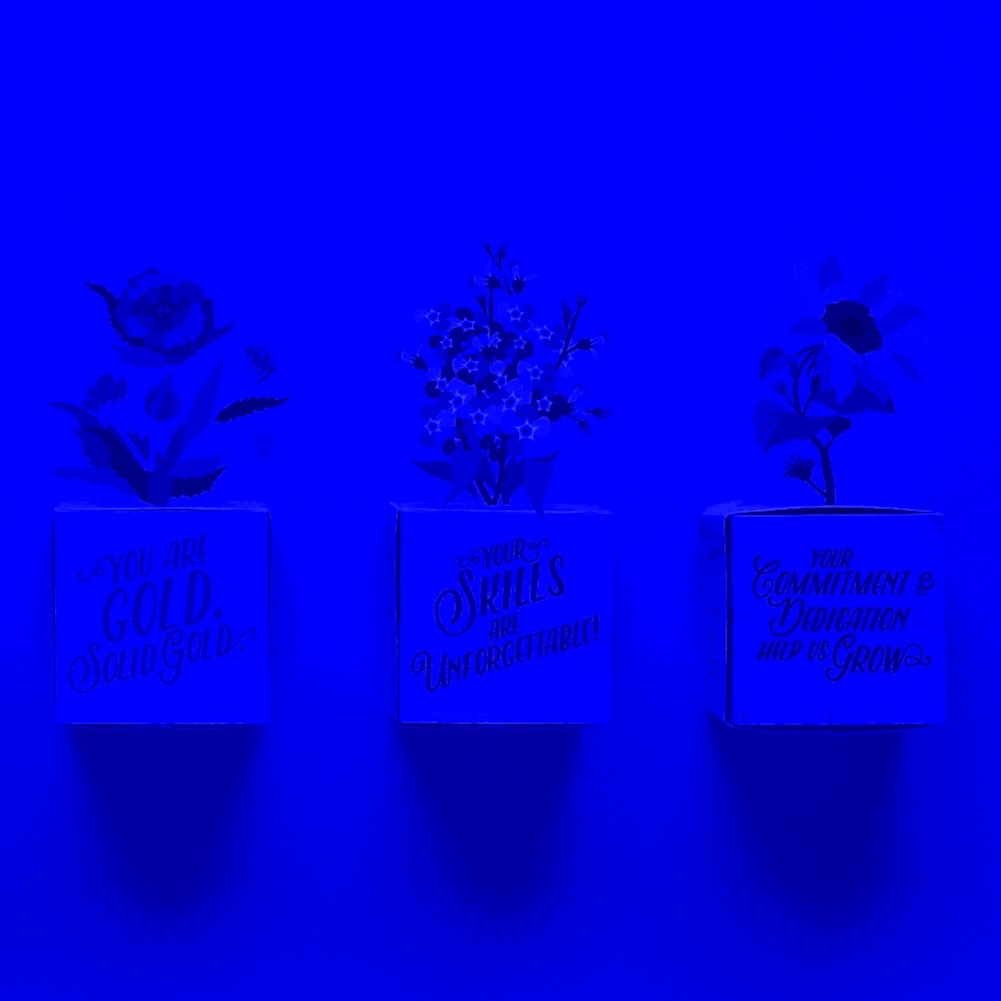 Appreciation Plant Cube Your Commitment Dedication Baudville