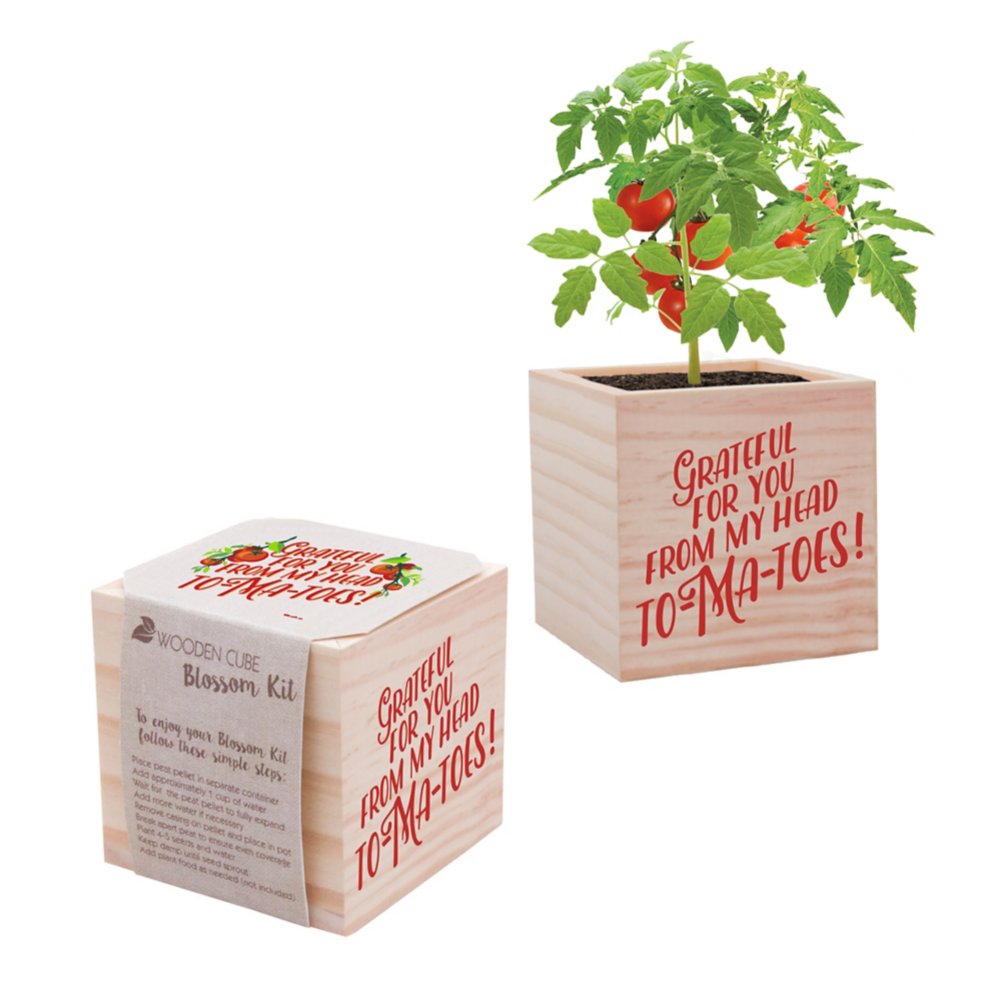 Appreciation Plant Cube - Grateful For You