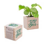 View larger image of Appreciation Plant Cube - My Skills Pay The Bills