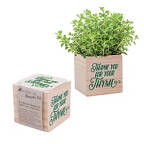 View larger image of Appreciation Plant Cube - Thank You For Your Thyme