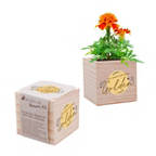 View larger image of Appreciation Plant Cube - You Make Our Team